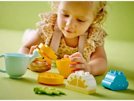 Lego Duplo 10981 Growing Carrot, 8 image
