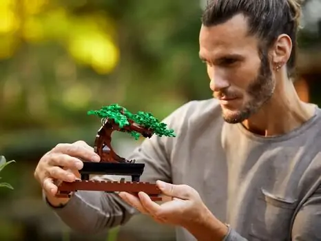 Lego Icons 10281 Bonsai Tree, 12 image