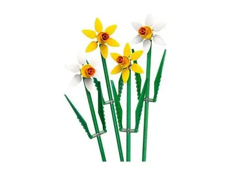 Lego 40747 Daffodils, 3 image