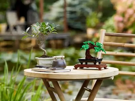 Lego Icons 10281 Bonsai Tree, 10 image