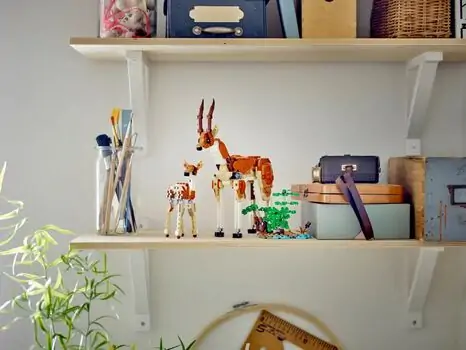 Lego Creator 31150 Wild Safari Animals, 11 image