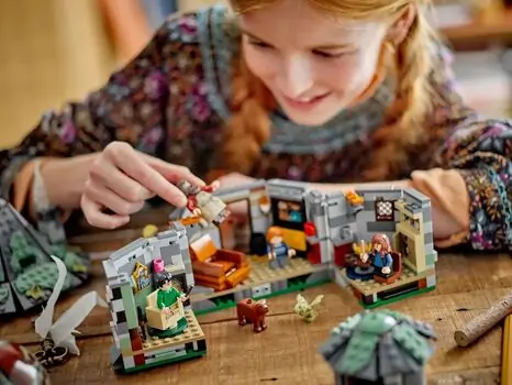 Lego Harry Potter 76428 Hagrid's Hut: An Unexpected Visit, 11 image