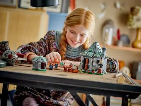 Lego Harry Potter 76428 Hagrid's Hut: An Unexpected Visit, 10 image