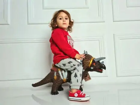 LARGE TOY TRICERATOPS DINOSAUR MODEL WITH IC BROWN HY608 გადასაჯდომი დინოზავრი, 3 image