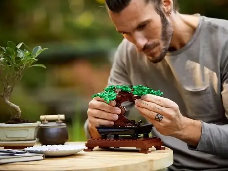 Lego Icons 10281 Bonsai Tree, 11 image