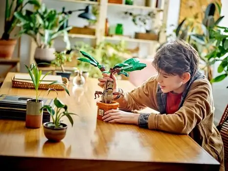 LEGO Harry Potter 76433 Mandrake, 7 image