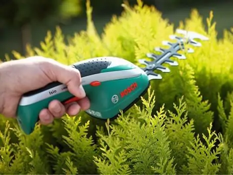 ბუჩქისა და ბალახის საჭრელი BOSCH ISIO 3.6V (0600833102), 2 image