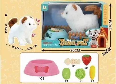 Walking Cat with Pet House and Bone-მოსიარულე კატა სახლით და აქსესუარებით