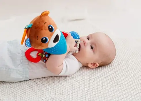 Bali Bazoo 81132 Bear Teddy - ახალშობილის სათამაშო, 5 image
