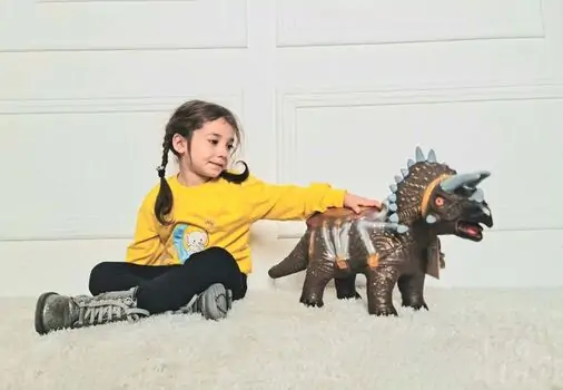 LARGE TOY TRICERATOPS DINOSAUR MODEL WITH IC BROWN HY608 გადასაჯდომი დინოზავრი