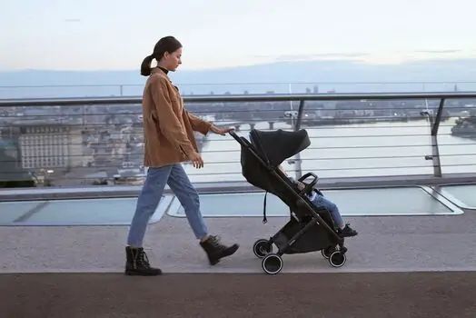 Anex Air-X Black საბავშვო ეტლი, 12 image