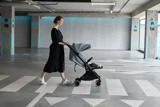 Anex Air-X Gray საბავშვო ეტლი, 17 image