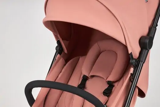 Anex Air-Z Blush საბავშვო ეტლი, 11 image