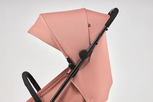 Anex Air-Z Blush საბავშვო ეტლი, 10 image