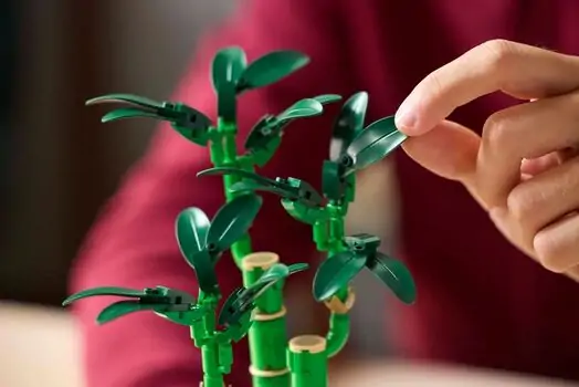 Lego Botanical Collection 10344 Lucky Bamboo, 6 image