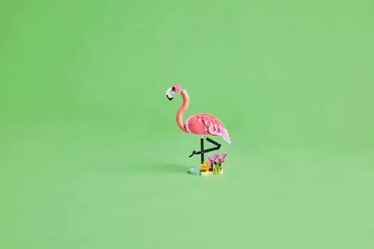 Lego Creator 31170 Wild Animals: Pink Flamingo, 9 image