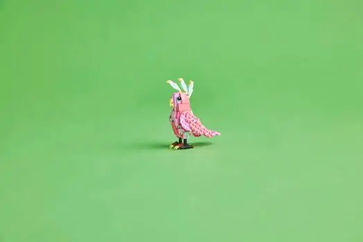 Lego Creator 31170 Wild Animals: Pink Flamingo, 10 image