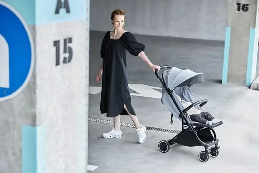 Anex Air-X Gray საბავშვო ეტლი, 18 image