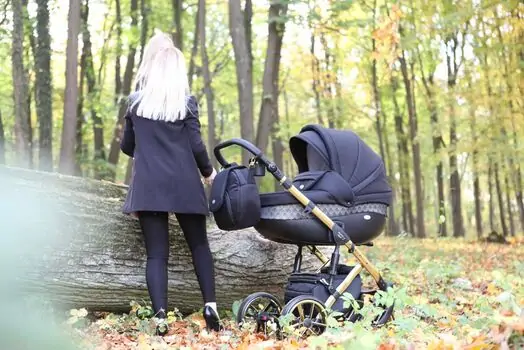 Baby Merc Faster 3 L/143 საბავშვო ეტლის 2x1 ეტლის კომპლექტი, 8 image