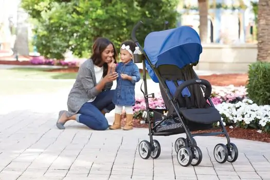 Graco TraveLite Caspian საბავშვო სასეირნო ეტლი, 2 image