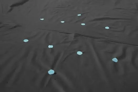 Bestway 58036 Round Pool Cover - კარკასული აუზის გადასაფარებელი ტენტი, 4 image
