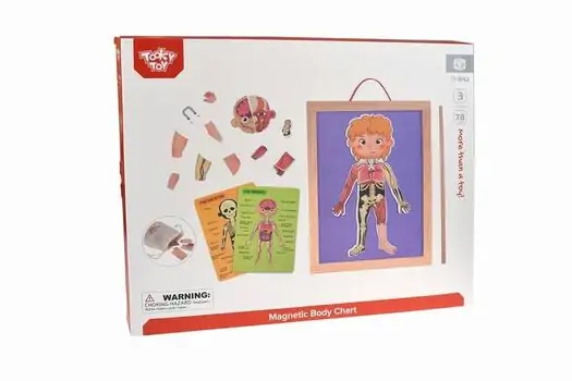 Tooky Toy Body Magnetic Chart TH842 - სათამაშო ადამიანის სხეულის ნაწილები, 3 image