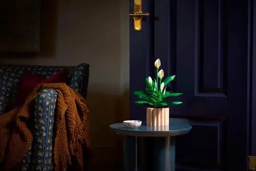 Lego Botanicals 11504 Peace Lily, 11 image