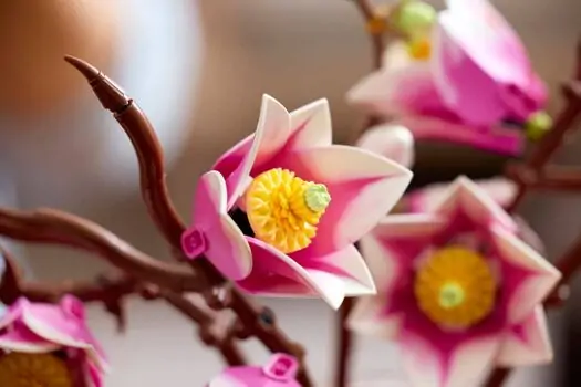 Lego Botanicals 11510 Magnolia Branches, 8 image