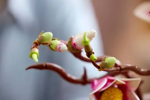 Lego Botanicals 11510 Magnolia Branches, 7 image