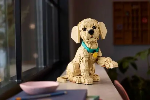 Lego Icons 11384 Golden Retriever Puppy, 9 image
