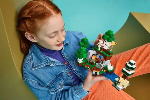 Lego 21593 First Night Adventure, 11 image