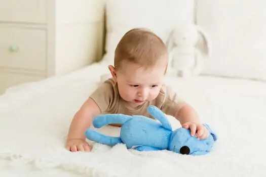 Bali Bazoo 81993 Cuddle toy Dog 28cm blue-განსავითარებელი სათამაშო, 8 image