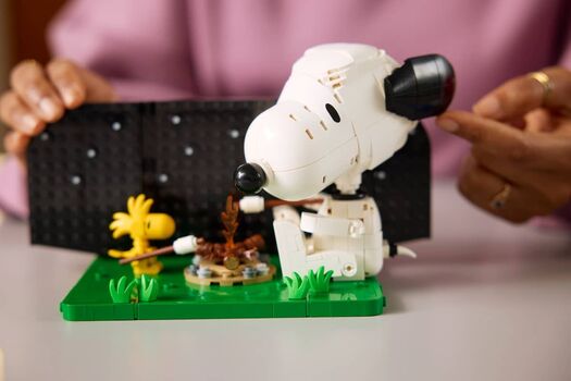 Lego  Ideas 21368 Peanuts: Snoopy's Doghouse, 13 image