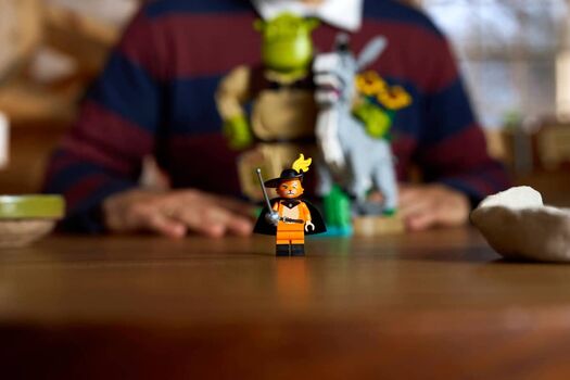lego 72423 Shrek, Donkey & Puss in Boots, 12 image