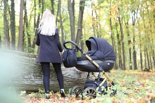 Baby Merc Faster 3 L/143 საბავშვო ეტლის 2x1 ეტლის კომპლექტი, 6 image