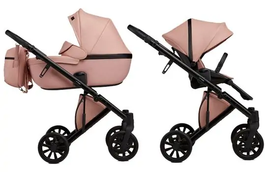Anex E/type 2x1 CRN-12 PEACH საბავშვო ეტლის კომპლექტი