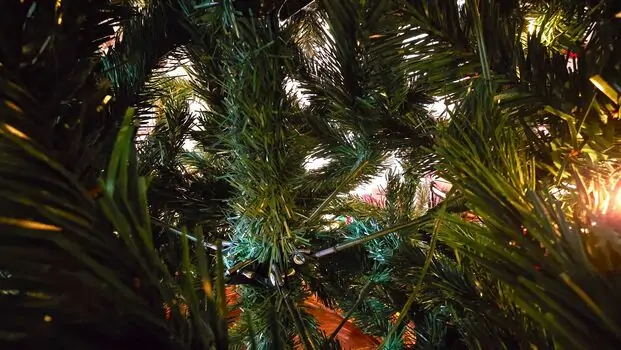 Christmas Tree With Lights საახალწლო ნაძვის ხე განათებით 180 სმ, 7 image