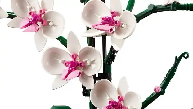 Lego Icons 10311 Orchid, 5 image