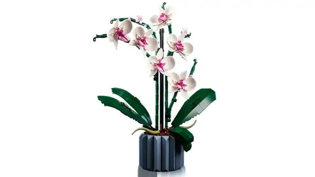 Lego Icons 10311 Orchid, 4 image