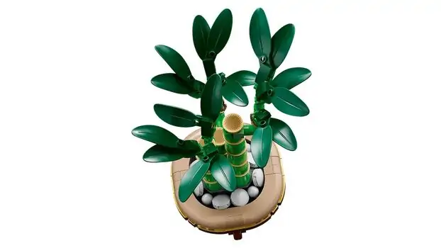 Lego Botanical Collection 10344 Lucky Bamboo, 3 image