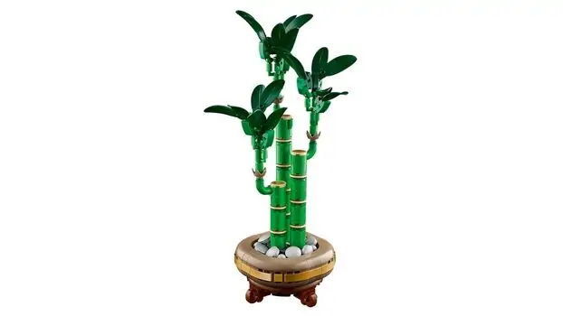 Lego Botanical Collection 10344 Lucky Bamboo, 4 image