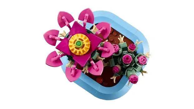 Lego Botanicals 11509 Flowering Cactus, 4 image