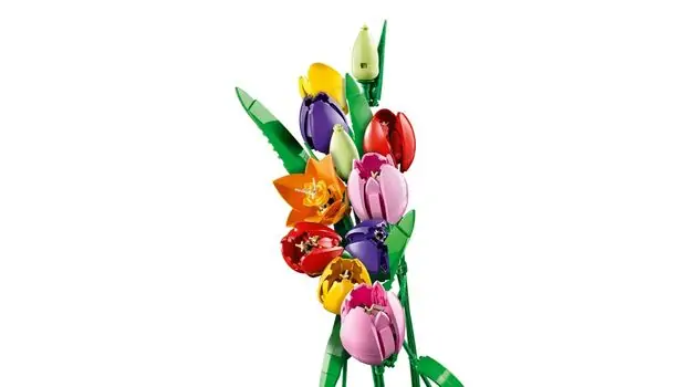 Lego Botanicals 11501 Tulip Bouquet, 6 image