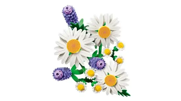 Lego Botanicals 11508 Daisies, 6 image