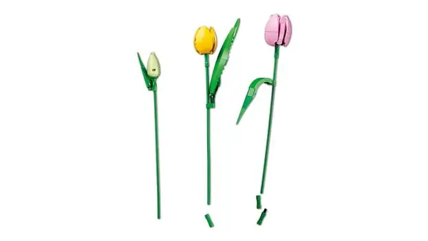 Lego Botanicals 11501 Tulip Bouquet, 7 image