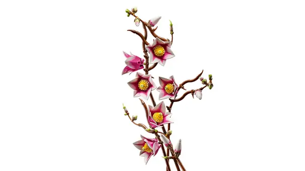 Lego Botanicals 11510 Magnolia Branches, 13 image