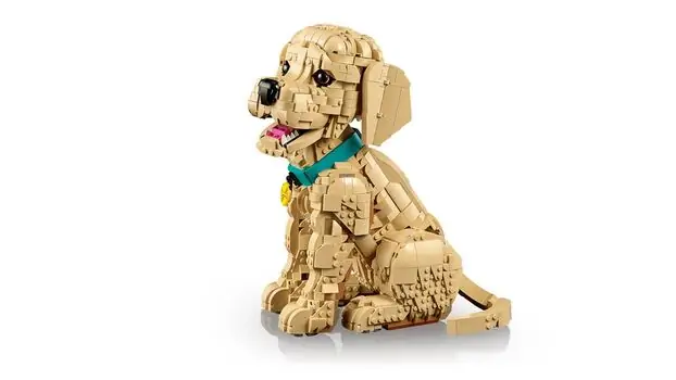 Lego Icons 11384 Golden Retriever Puppy, 7 image