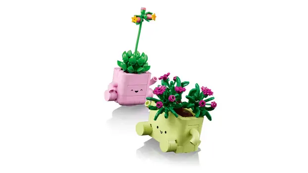Lego Botanicals 11506 Rocking Plants, 11 image