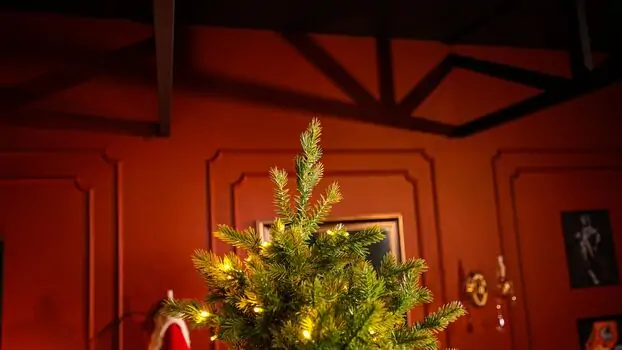 Christmas Tree With Lights  - საახალწლო ნაძვის ხე შერეული სილიკონის წიწვებით და განათებით 240 CM (OT2335), 13 image