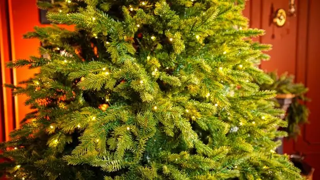 Christmas Tree With Lights  - საახალწლო ნაძვის ხე შერეული სილიკონის წიწვებით და განათებით 240 CM (OT2335), 5 image